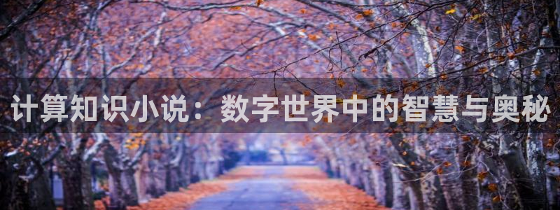 一念永恒全本小说免费阅读