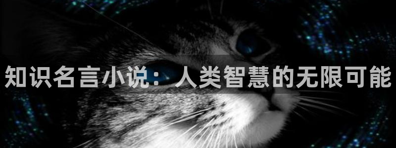 起点免费全本小说：知识名言小说：人类智慧的无限可能