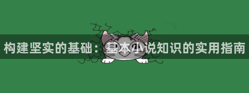 全本小说txt小说下载：构建坚实的基础：基本小说知识的实用指南