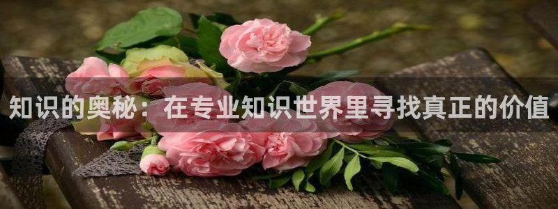 陈斌高婉君笔趣阁全本小说免费：知识的奥秘：在专业知识世界里寻找真正的价值