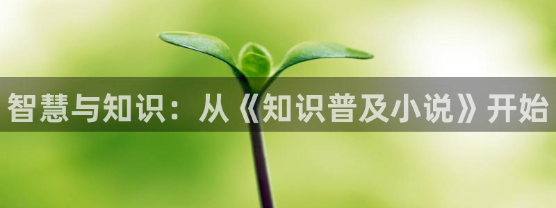 楚枫苏柔全本小说免费阅读